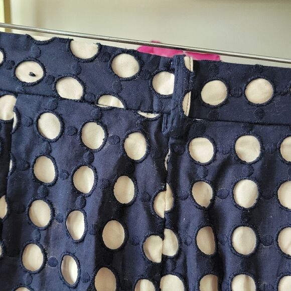 Ann Taylor Blue and Cream Eyelet Shorts - Picture 8 of 11